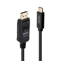 1m USB Type C to DisplayPort 4K60 Adapter Cable with HDR